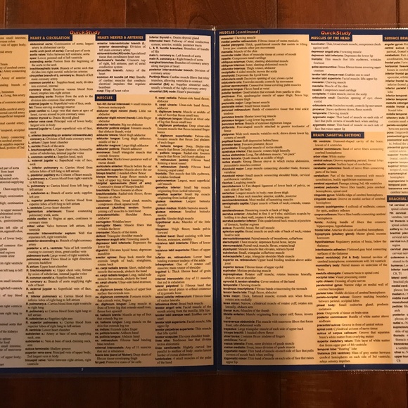 ANATOMY AND ANATOMY TERMINOLOGY QUICKSTUDY LAMINATED REFERENCE GUIDE - Picture 8 of 9